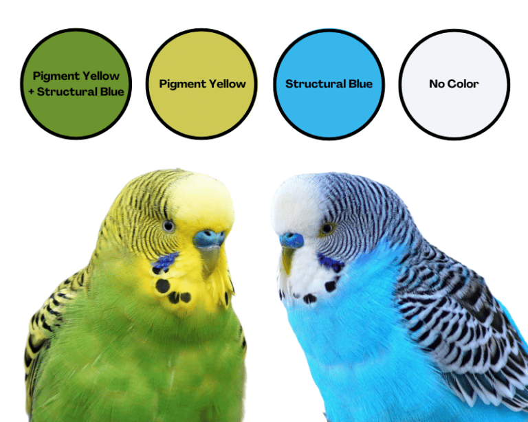 Color-Examples-768x614
