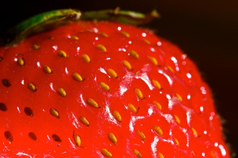 can canaries eat strawberries