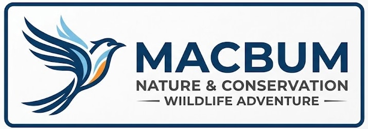 MacBum